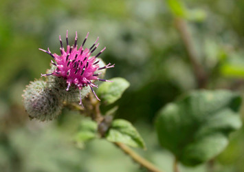 Similar image 7704672