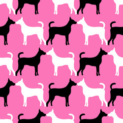 Similar image 7704991