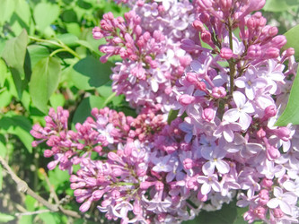 Similar image 7705200