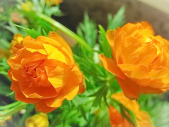 Similar image 7705202