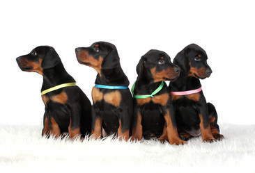 Similar image 7706282