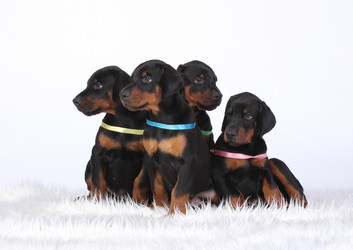 Similar image 7706285