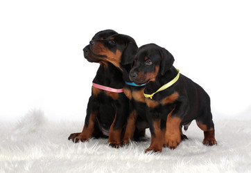 Similar image 7706311