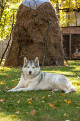 Similar image 7706523