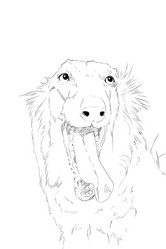 Similar image 7706772