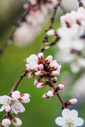 Similar image 7707481