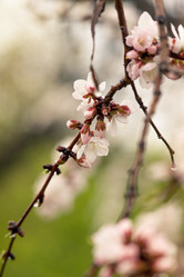 Similar image 7707482