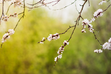 Similar image 7707484