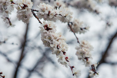 Similar image 7707490