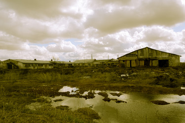 Similar image 7707533