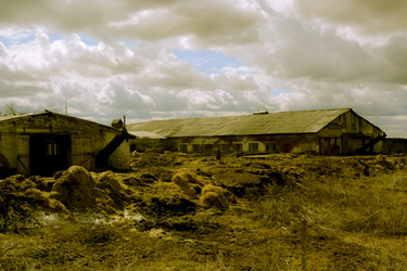 Similar image 7707534