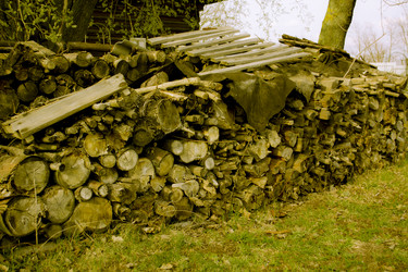 Similar image 7707535