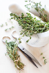 Similar image 7707554