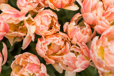 Similar image 7707559