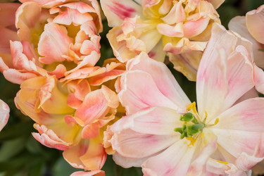 Similar image 7707562