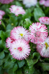 Similar image 7707564