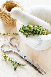 Similar image 7707568