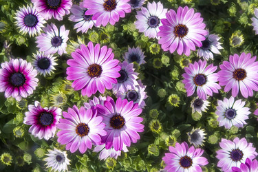 Similar image 7719859