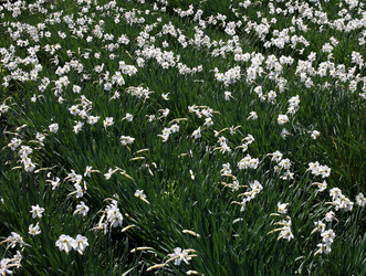 Similar image 7720931