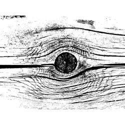 Similar image 7721372