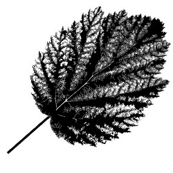 Similar image 7721434