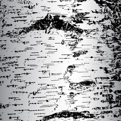 Similar image 7721461