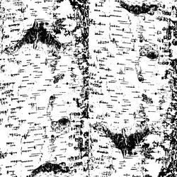 Similar image 7721466