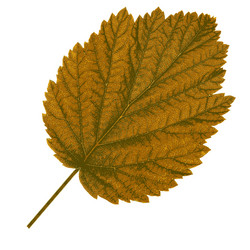 Similar image 7721472