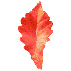 Similar image 7721477