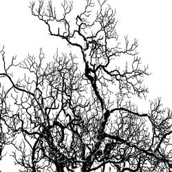 Similar image 7721483