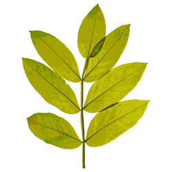 Similar image 7721491