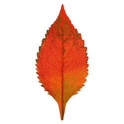 Similar image 7721497