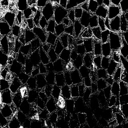 Similar image 7721498