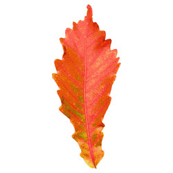 Similar image 7721522