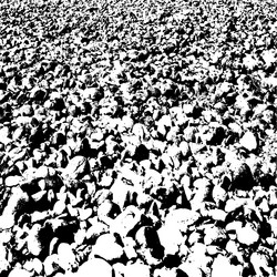 Similar image 7721541