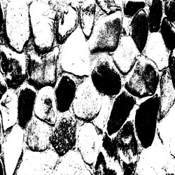 Similar image 7721552