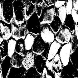 Similar image 7721564