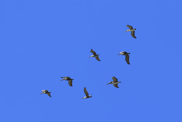 Similar image 7721698