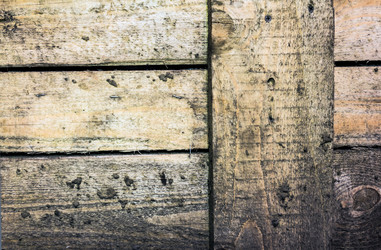 Similar image 7722572