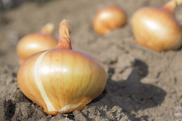 Similar image 7722589