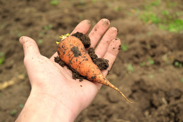 Similar image 7722591