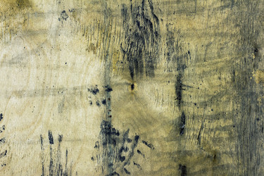 Similar image 7722621