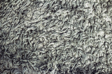 Similar image 7722622