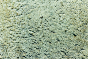 Similar image 7722625