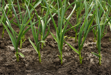 Similar image 7722955