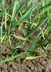 Similar image 7722956