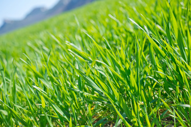 Similar image 7723128