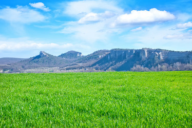 Similar image 7723130