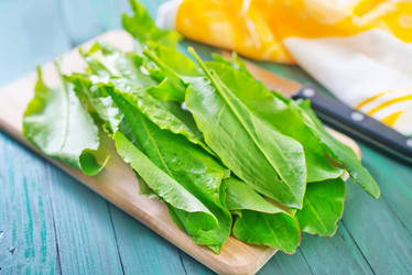 Similar image 7723203