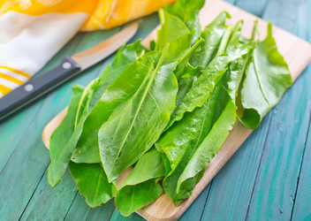 Similar image 7723204